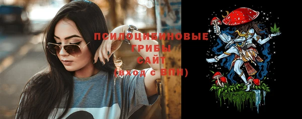 стаф Алзамай