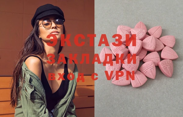 стаф Алзамай