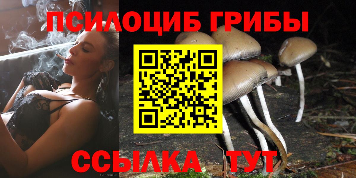 Галлюциногенные грибы прущие грибы Крымск